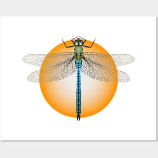 Blue dragonfly on gold compound disc Posters and Art